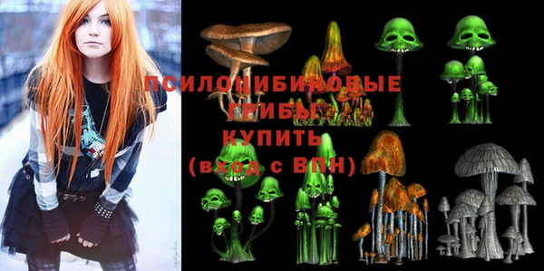экстази Арсеньев